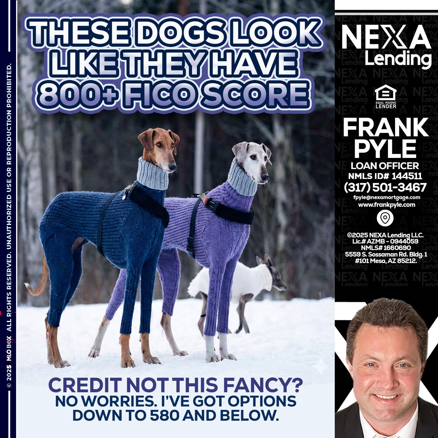 THESE DOGS LOOK - Frank Pyle -Loan Originator